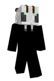 BeeGhost00 Minecraft avatar full body