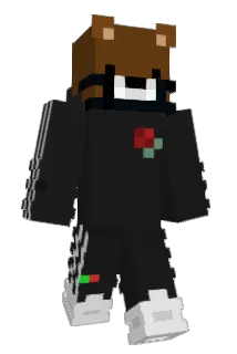 BeeIsWashed Minecraft avatar full body