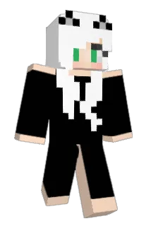 BeeNerdy Minecraft avatar full body