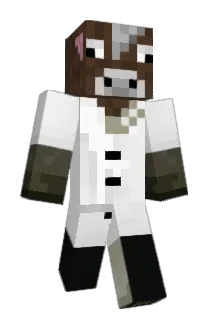 BeeStinger1212 Minecraft avatar full body