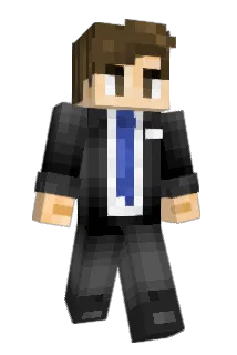 BeeXD Minecraft avatar full body