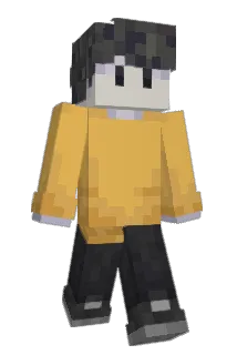 BeeboIdk Minecraft avatar full body