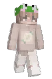 Beeboy13 Minecraft avatar full body