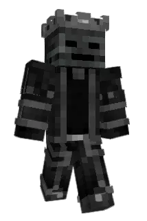 Beecool301 Minecraft avatar full body