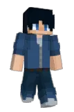 Beedless Minecraft avatar full body