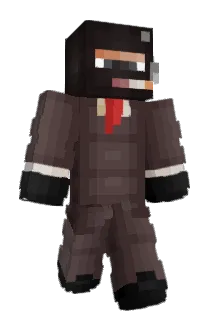 Beekois Minecraft avatar full body