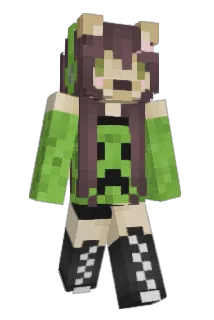 Beeqexx Minecraft avatar full body