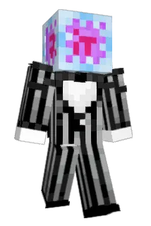 Minecraft-Avatar von Beeray_: ganzer Körper