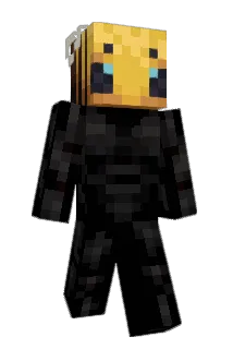 Bees102 Minecraft avatar full body