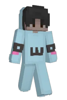 Beesain Minecraft avatar full body
