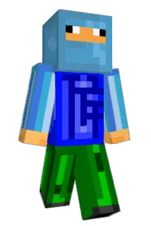 Beeszou Minecraft avatar full body