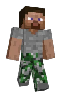 Beetlejuic Minecraft avatar full body