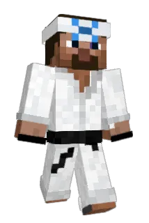 Beev999 Minecraft avatar full body
