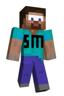 Beevis690 Minecraft avatar full body