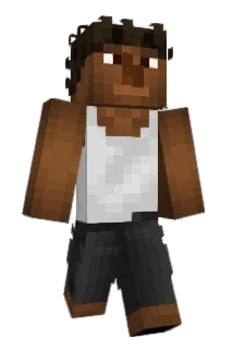 Beezleboo Minecraft avatar full body