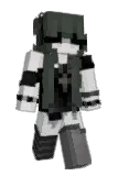 Beezung Minecraft avatar full body