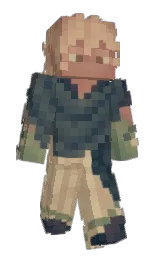 Custom render preview