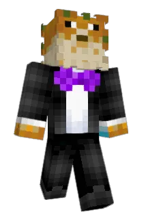 Bendorado Minecraft avatar full body