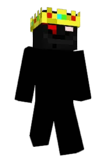 Benguined Minecraft avatar full body