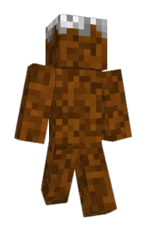 BeniLee Minecraft avatar full body