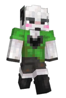 Benj1kus Minecraft avatar full body