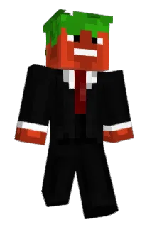 Berryman5 Minecraft avatar full body