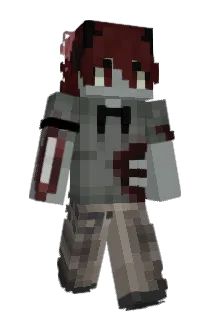BeryKujow_ Minecraft avatar full body