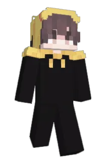 Bevat Minecraft avatar full body