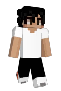Bezuidenhout_ Minecraft avatar full body