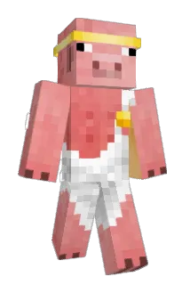 BiLKaRi Minecraft avatar full body
