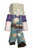 BiTurtle Minecraft avatar full body
