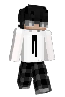 Biann1 Minecraft avatar full body