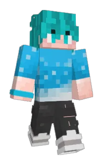 Bibinskii Minecraft avatar full body