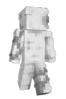 Bid11 Minecraft avatar full body