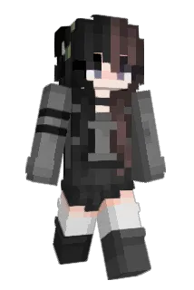 BidPlu55 Minecraft avatar full body