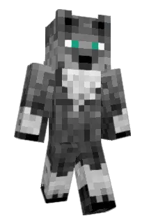 Biddoxx Minecraft avatar full body