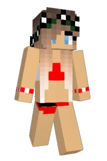 Biddson Minecraft avatar full body