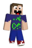 Bidl0 Minecraft avatar full body