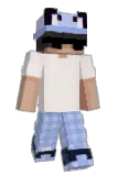 Bidshy Minecraft avatar full body
