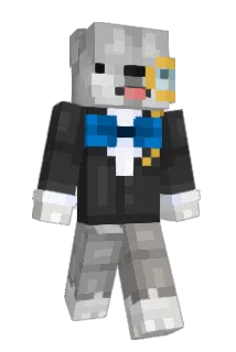 Bielins1de Minecraft avatar full body