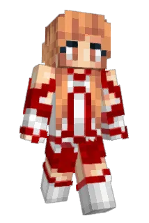 Biene337 Minecraft avatar full body