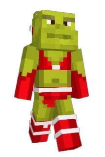 BigBag Minecraft avatar full body