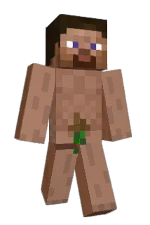 BigBlickSmalDic Minecraft avatar full body