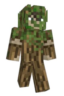 BigBuckHunter2 Minecraft avatar full body