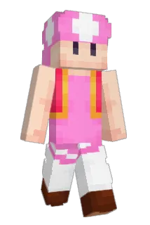BigCon Minecraft avatar full body