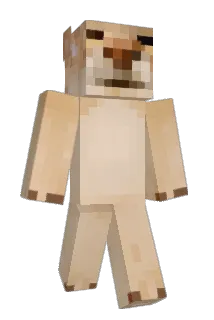 BigCwang Minecraft avatar full body
