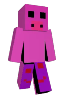 BigPig2137 Minecraft avatar full body