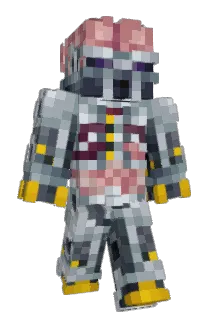 Bigbraine Minecraft avatar full body