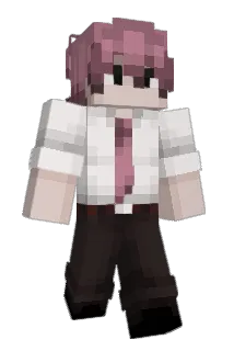 BiggerStalls Minecraft avatar full body