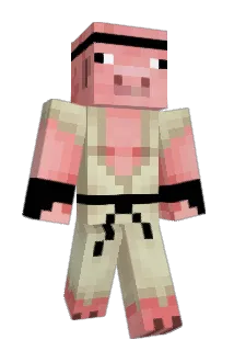 Bigt993 Minecraft avatar full body